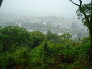 f:id:kurokoshusaru:20080524191620j:image