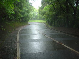 f:id:kurokoshusaru:20080524191621j:image