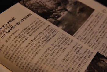 f:id:kurokoshusaru:20080718200400j:image