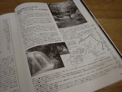 f:id:kurokoshusaru:20080718210635j:image