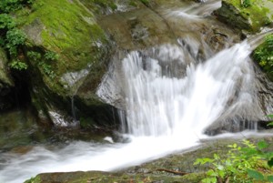 f:id:kurokoshusaru:20090516182202j:image