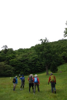 遊山の朝