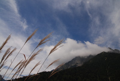 f:id:kurokoshusaru:20090923182800j:image