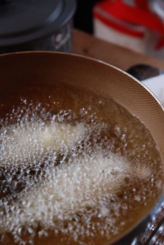 f:id:kurokoshusaru:20110209060800j:image