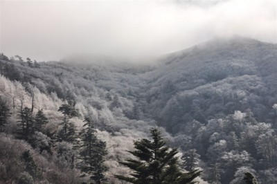 f:id:kurokoshusaru:20111123193411j:image