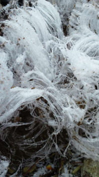 f:id:kurokoshusaru:20111123193541j:image