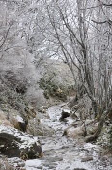 f:id:kurokoshusaru:20111123193546j:image