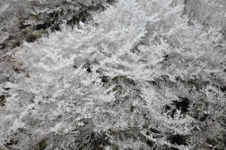 f:id:kurokoshusaru:20111123193831j:image