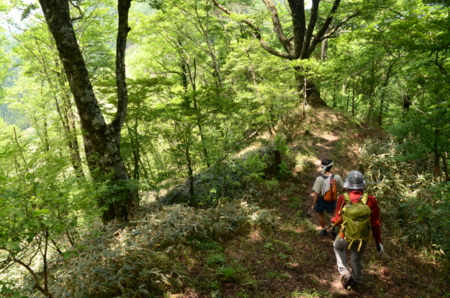 f:id:kurokoshusaru:20120613042219j:image