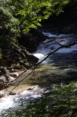 f:id:kurokoshusaru:20120709181617j:image f:id:kurokoshusaru:20120709181617j:image