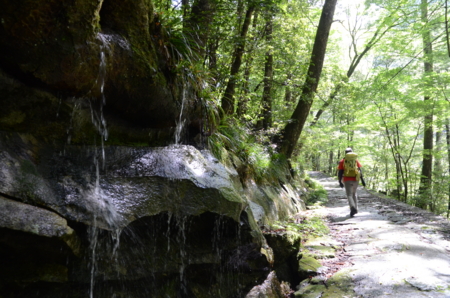 f:id:kurokoshusaru:20120709182114j:image f:id:kurokoshusaru:20120709182114j:image