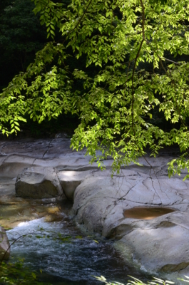 f:id:kurokoshusaru:20120709182304j:image f:id:kurokoshusaru:20120709182304j:image