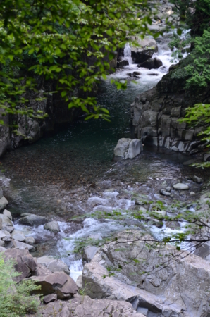 f:id:kurokoshusaru:20120709182540j:image f:id:kurokoshusaru:20120709182540j:image