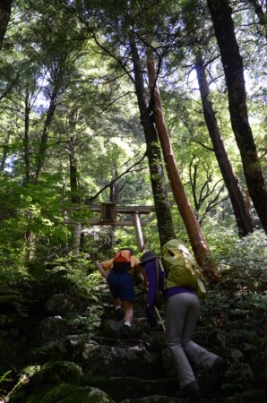 f:id:kurokoshusaru:20120710195915j:image f:id:kurokoshusaru:20120710195915j:image