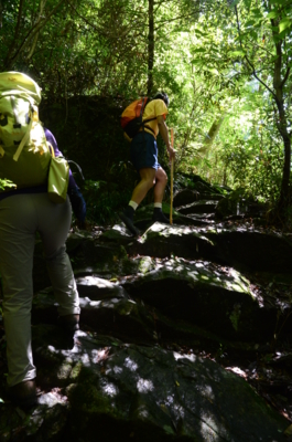 f:id:kurokoshusaru:20120710200532j:image f:id:kurokoshusaru:20120710200532j:image