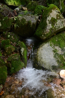 f:id:kurokoshusaru:20120710201256j:image