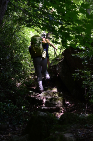 f:id:kurokoshusaru:20120710202245j:image f:id:kurokoshusaru:20120710202245j:image