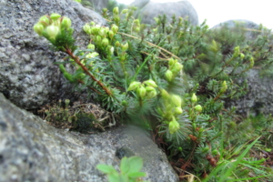 f:id:kurokoshusaru:20120719202753j:image f:id:kurokoshusaru:20120719202753j:image