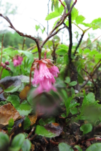 f:id:kurokoshusaru:20120719202905j:image f:id:kurokoshusaru:20120719202905j:image