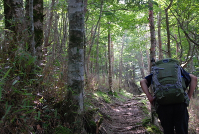 f:id:kurokoshusaru:20120725180625j:image