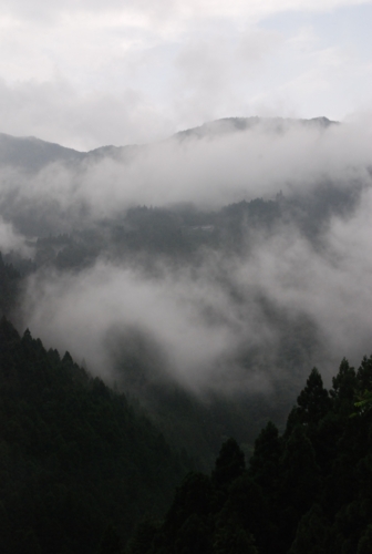 f:id:kurokoshusaru:20120725181152j:image