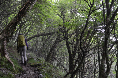 f:id:kurokoshusaru:20120730171231j:image