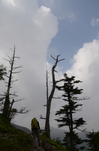 f:id:kurokoshusaru:20120730171528j:image