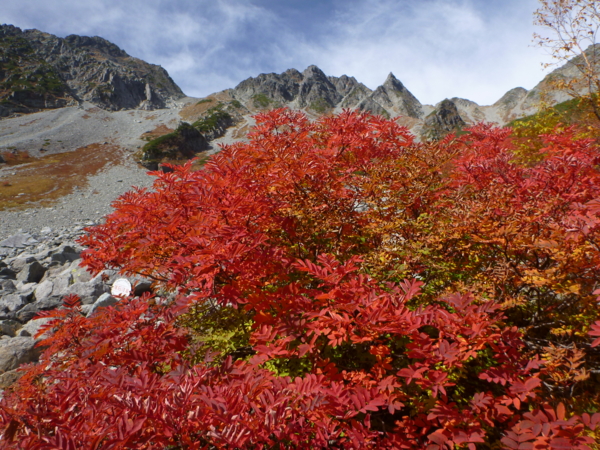 f:id:kurokoshusaru:20121027063203j:image