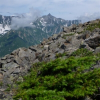 f:id:kurokoshusaru:20121027063306j:image