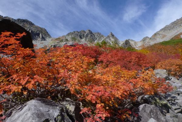 f:id:kurokoshusaru:20121027063705j:image