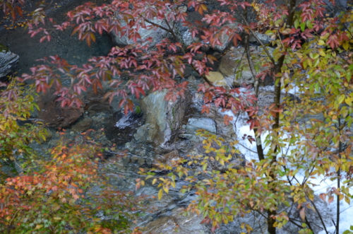 f:id:kurokoshusaru:20121029180250j:image f:id:kurokoshusaru:20121029180250j:image