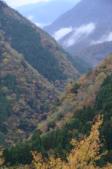 f:id:kurokoshusaru:20121029180415j:image f:id:kurokoshusaru:20121029180415j:image