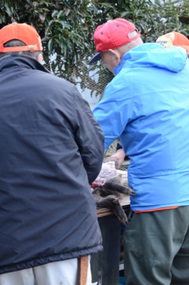 f:id:kurokoshusaru:20121220165317j:image