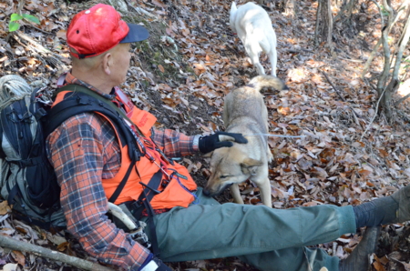 f:id:kurokoshusaru:20121220170042j:image