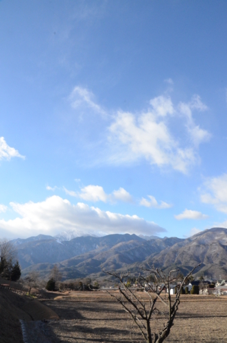 f:id:kurokoshusaru:20130104162809j:image f:id:kurokoshusaru:20130104162809j:image