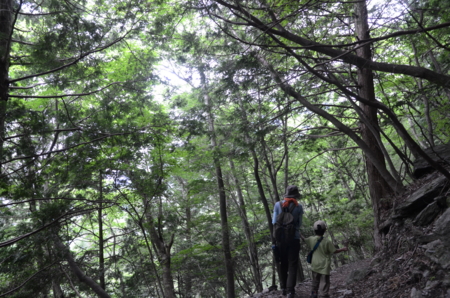 f:id:kurokoshusaru:20130609192720j:image