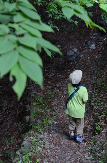 f:id:kurokoshusaru:20130609193756j:image