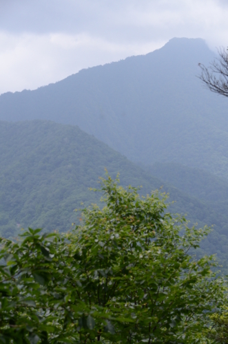 f:id:kurokoshusaru:20130709215356j:image