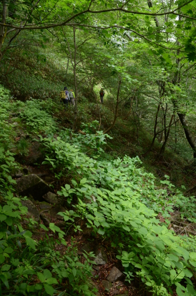 f:id:kurokoshusaru:20130709220036j:image