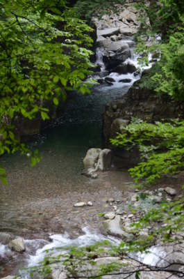 f:id:kurokoshusaru:20130711201547j:image f:id:kurokoshusaru:20130711201547j:image