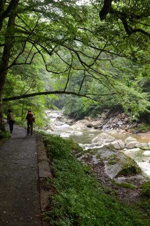 f:id:kurokoshusaru:20130711203413j:image f:id:kurokoshusaru:20130711203413j:image