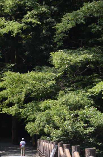 f:id:kurokoshusaru:20130726150200j:image