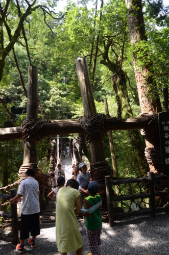 f:id:kurokoshusaru:20130726150222j:image