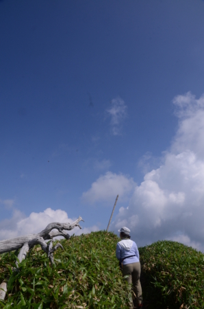 f:id:kurokoshusaru:20130728050510j:image f:id:kurokoshusaru:20130728050510j:image