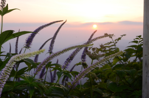 f:id:kurokoshusaru:20130728052912j:image