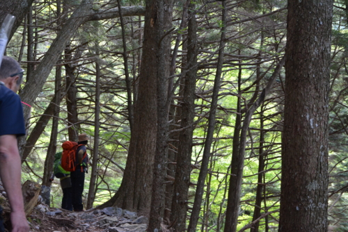 f:id:kurokoshusaru:20150603190445j:image