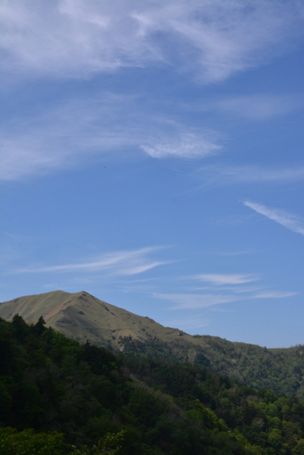 f:id:kurokoshusaru:20150603190741j:image