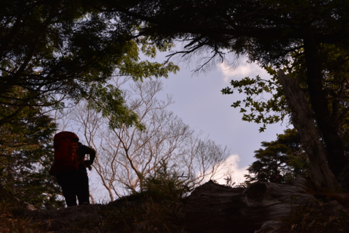 f:id:kurokoshusaru:20150603190801j:image