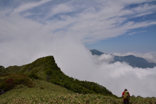 f:id:kurokoshusaru:20150705155544j:image f:id:kurokoshusaru:20150705155544j:image