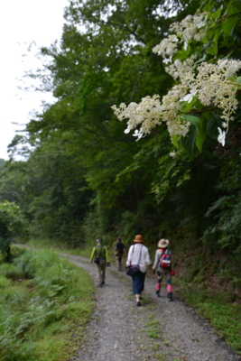 f:id:kurokoshusaru:20150823191341j:image f:id:kurokoshusaru:20150823191341j:image